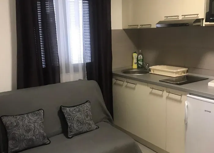 Daire Stojkovic Zlatibor